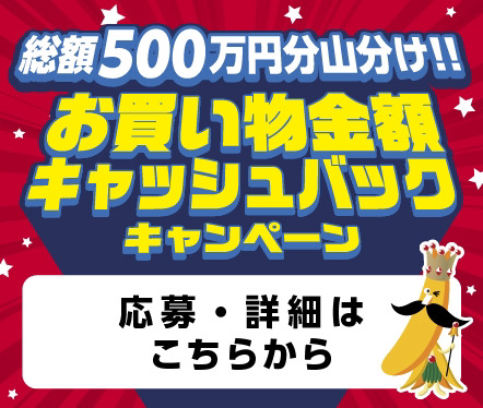 キャンペーン実施中！３月～９月【えらべるPay】最大5,000円分キャッシュバック！