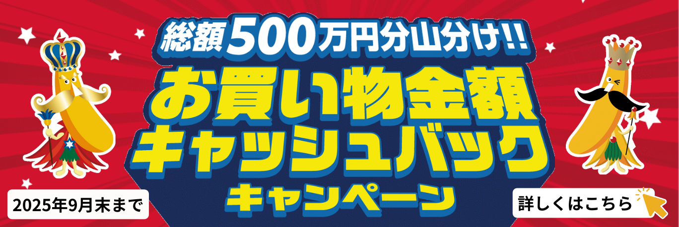 キャンペーン実施中！３月～９月【えらべるPay】最大5,000円分キャッシュバック！